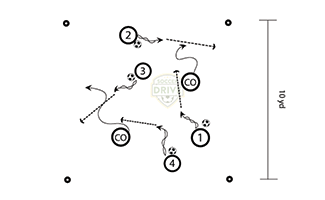 Guardians of the field - Fun soccer drill for U6